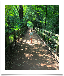 Walking the Green Tunnel - Helen Kulczycki